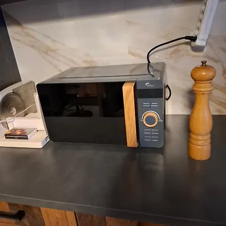 公寓 Appartement Nax *